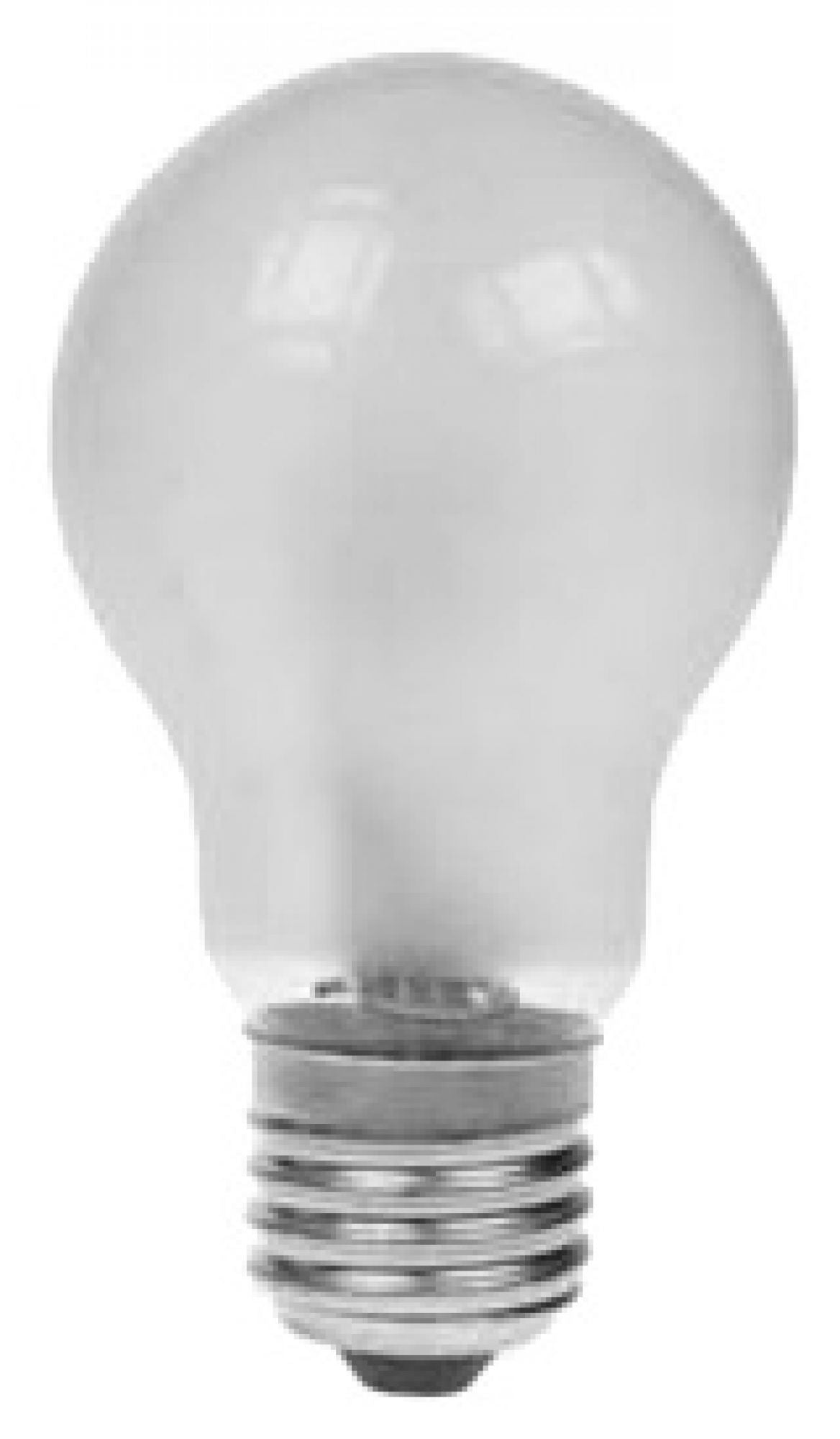 GLS ES Pearl Rough Service 100W Lamp