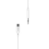 1m USB-C to Male AUX Cable