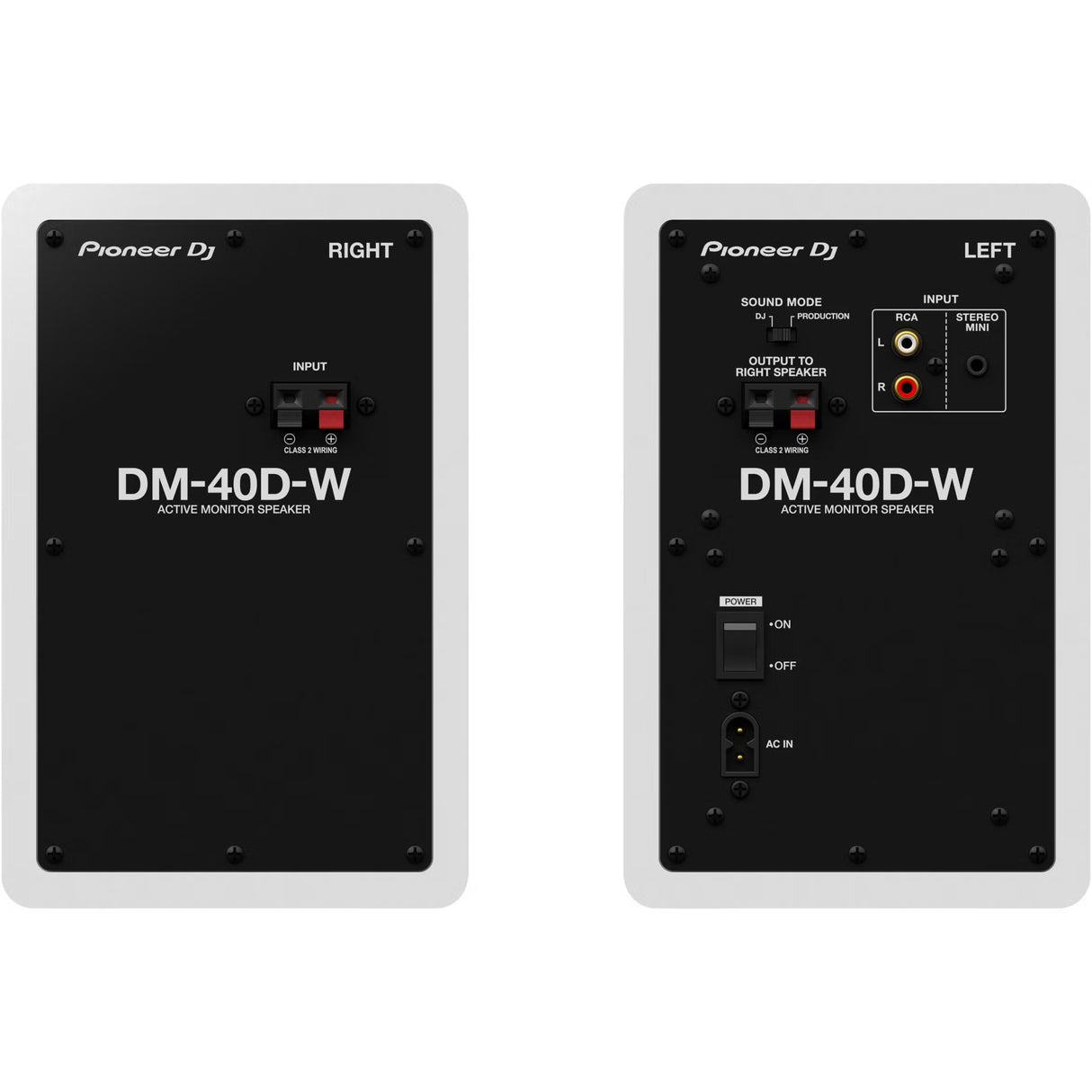 Pioneer DM 40D W