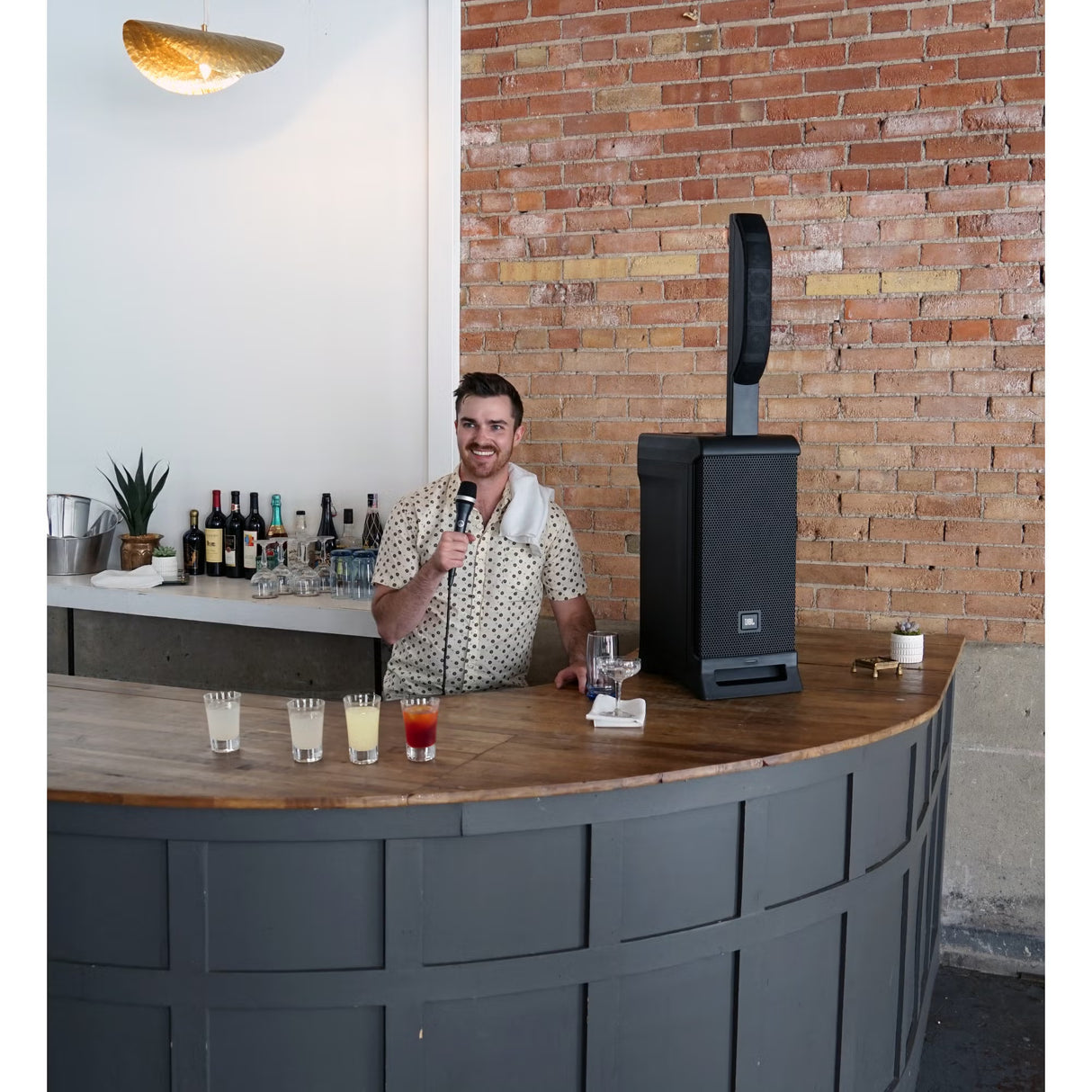 IRX ONE Column PA System