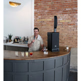 IRX ONE Column PA System