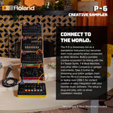 Roland P-6 AIRA COMPACT SAMPLER