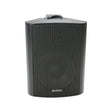Adastra 5.25" 100V Speaker