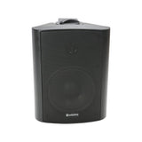 Adastra 5.25" 100V Speaker