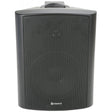 Adastra 6.5" 100V Speaker