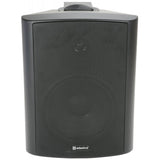Adastra 6.5" 100V Speaker