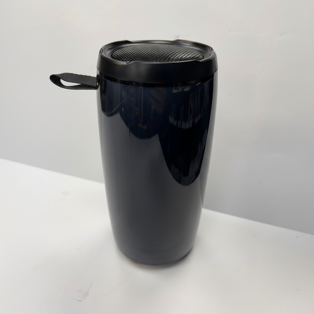 Black speaker