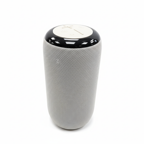 Cleaned up speaker