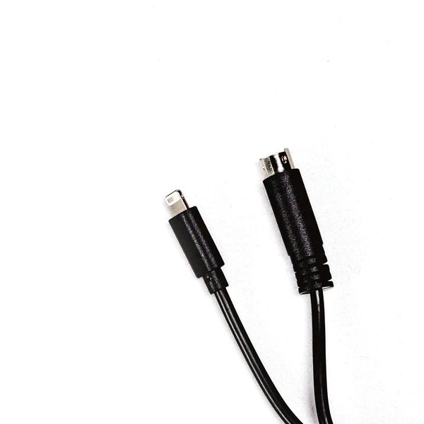 Evermix Din to Lightning Cable