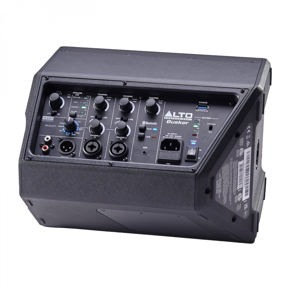 PROFESSIONAL BUSKER PORTABLE SPEAKER