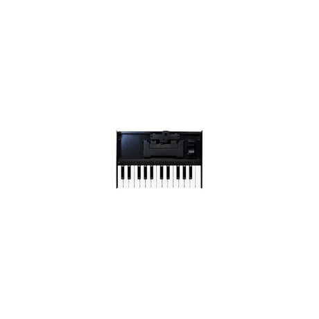 Roland K-25m Keyboard for Roland Boutique Series