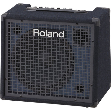 Roland KC 200 Keyboard Amplifiers