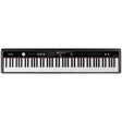 NPK-20 Professional Digital Piano (Black)