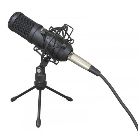 Tascam TM-70 Dynamic Broadcast & Podcast Microphone